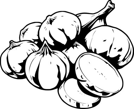 black and white onions, food, vegetable clip art preview
