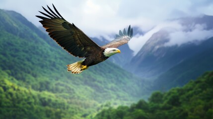 Majestic bald eagle soaring above lush mountain ranges.