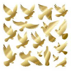set of golden dove vector art