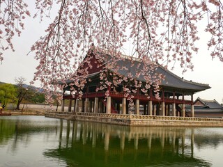pavilion in the garden korea