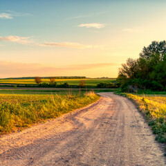 Dirt road in the hungarian countryside in spring