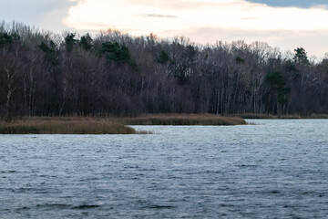 Lake Müritz and plants on the waterfront. Lakeshore in the national park during winter season. Bare trees of the forest during winter season. The calm water and lake area is a travel destination.