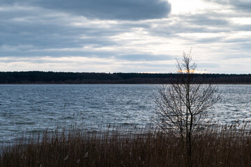 Lake Müritz environment during winter season. Natural landscape in the national park of the Mecklenburgische Seenplatte (Mecklenburg Lake District).
