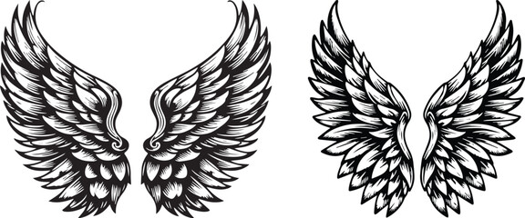 Dark Scary Wings set Illustration Horror Themed Evil Wings for Skulls, Demons, and Gothic Art