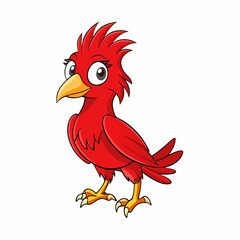 red rooster isolated on white