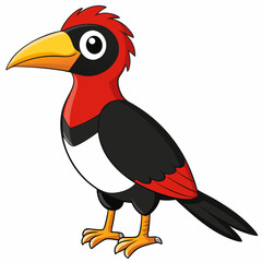 toucan isolated on white