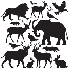 Fototapeta premium Animals Diverse, Majestic, and Wonders of Nature