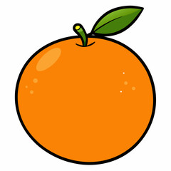 orange fruit vector illustration