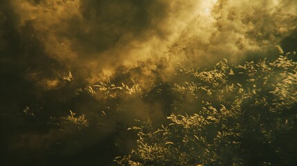 Naklejka premium Golden Haze: Abstract Nature Scene With Clouds & Grass, Dreamy Vibe