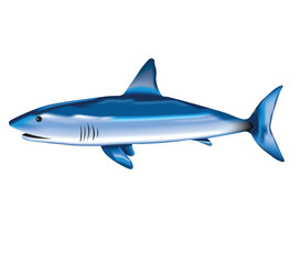 Cute cartoon hand drawn vector shark fish.