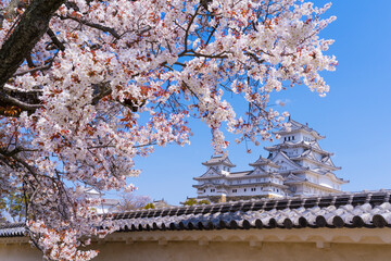 桜に彩られた姫路城の天守閣