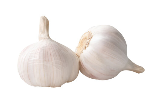 Side view of two white garlic bulbs in stack isolated with clipping path in png file format