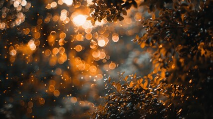 Naklejka premium Autumn Golden Bokeh Lights, Magic Fall Leaves Background, Abstract Nature Photography