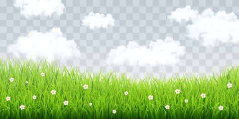 Vector cloudy sky with green grass. Spring grass and cloud texture, lawn, nature sky. Vector weather element on png background. Vector isolated on transparent background.