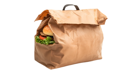 Professional Food Delivery Bag Isolated on White Background