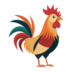  Cock vector style illustration.