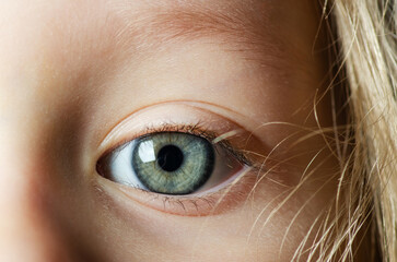 Kid blue eyes with long eyelashes close-up macro