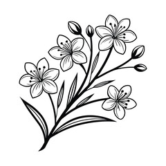 Apple Blossom flower vector silhouette, flower vector on a white background