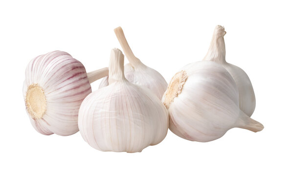 Side view of fives white garlic bulbs in group isolated with clipping path in png file format