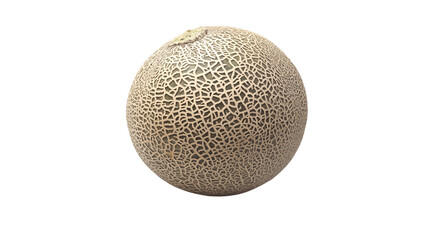 Succulent Juicy Melon on White Background - Tilted Fruit Isolation Image