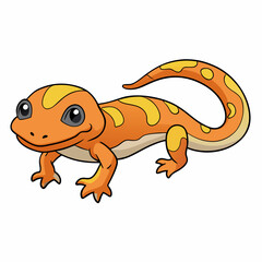 gecko on a white background