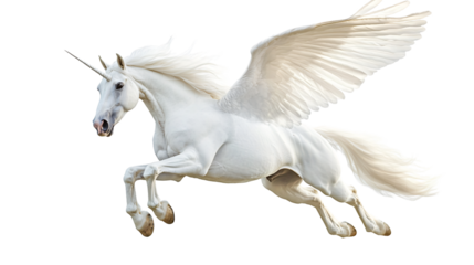 Majestic White Winged Horse Pegasus in Flight Isolated