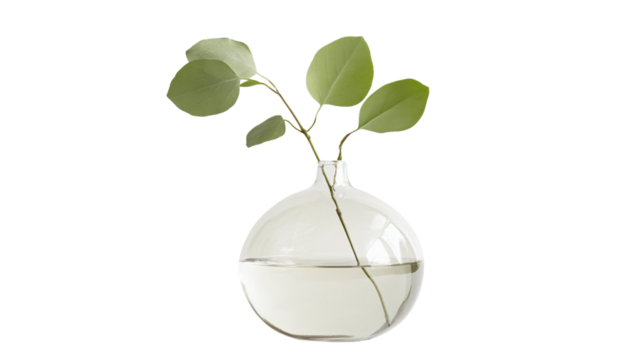 Stylish Minimal Vase on White Background for Home Decor Inspiration