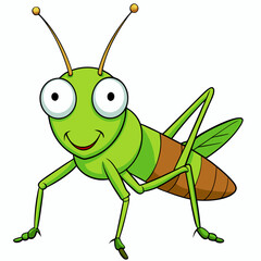 green grasshopper isolated on white