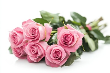 Elegant pink roses wrapped in delicate green leaves on a bright, soft background