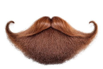 Detailed ginger mustache and beard with curled ends on a transparent backdrop