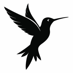 Fototapeta premium Graceful Hummingbird Silhouette Design