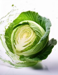Fresh cabbage with water splash: vibrant green vegetable on white background