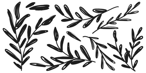 Branches with long leaves vector illustration set isolated on white background.