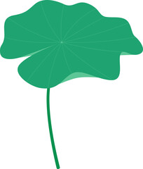 Fototapeta premium 연잎