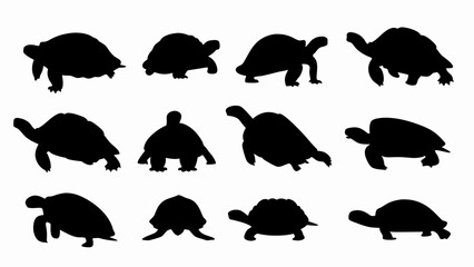 set of turtles silhouette vector on white background