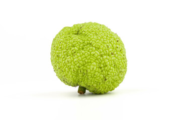Maclura Orange exotic fruit on white background