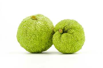 Maclura Orange exotic fruit on white background