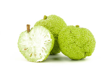 Maclura Orange exotic fruit on white background