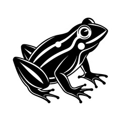 vector illustration of a frog on a white background