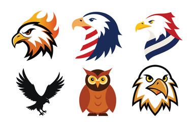 Adobe IllustClose-up of a bald eagle's face with a white head, sharp yellow beak, and intense eyes, set against a dark background.rator Artwork