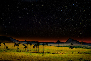Beautiful starry night sky over the jardim de maytrea, chapada dos veadeiros, brazil