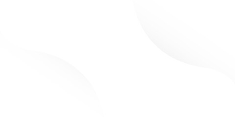 abstract white background with gradient color and artistic dynamic line decoration