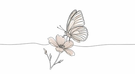 Butterfly Resting on Flower Minimalist Line Art Isolated on White