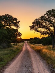 Fototapeta premium Sunrise Road Through Trees