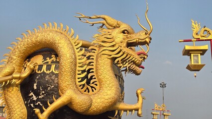 golden dragon statue in thailand