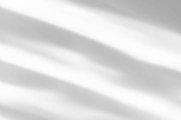 shadow overlay effects of realistic branch and window shadows isolated on transparent background,mockup of shadow for product presentation, backdrop,Summer sunlight and shadow overla