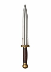 Sword Gladius isolated on a white background