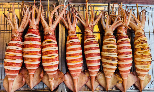 Grilled squids with scored bodies