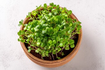 Fresh microgreens in a ceramic bowl showcasing healthy plant-based food from a minimalist perspective