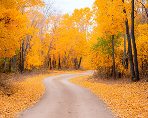 Obraz premium Winding dirt road through vibrant autumn foliage . Generative AI